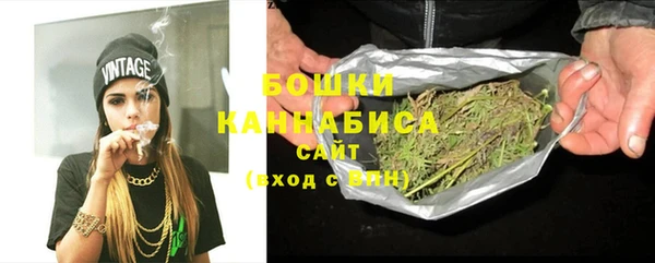 шишки Нея
