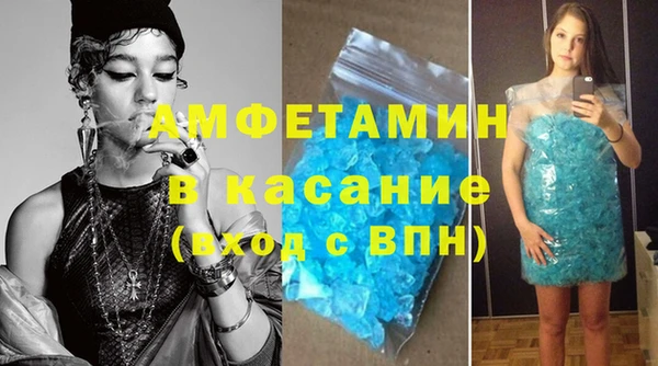 шишки Нея