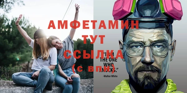 шишки Нея