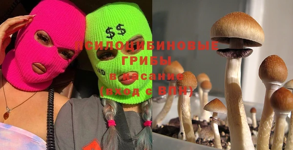 шишки Нея