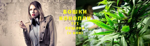 шишки Нея