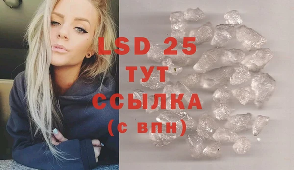 шишки Нея
